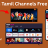Watch Tamil Channels Free on VLC